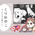 くりかのこ　アメリ…