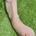 『たまに何と生活し…