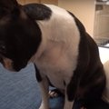 ママの帰りが遅くて…