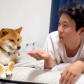 ベッドで犬たちと『O…