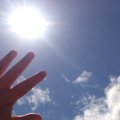犬の暑さ対策3つ！夏…