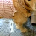 暑くなってきたので…
