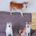 【大人気】静止画じ…