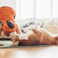 犬のみせるポーズ7選…
