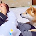 生後0ヶ月の赤ちゃん…