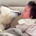 赤ちゃんがぐずりだ…