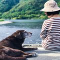『ボケてきた犬』が…