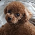 3週間ぶりに帰ってく…