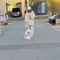 4日ぶりに犬と会うの…