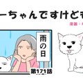 ちーちゃんですけど…