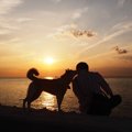 犬にとっての『幸せ…