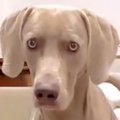 『合ってはいるんだ…