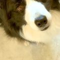 夫が仕事に行き、『…