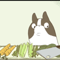 犬のアニメが面白い…