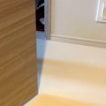 トイレをしていたら…