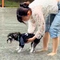 プールに連れて行っ…