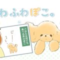 ふわふわぽこ。【第7…