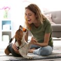 なぜ？犬が物をくわ…