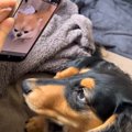 LINEで送られてきた…