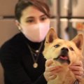 【感涙】盲目の保護…