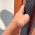 大好きな『人間のお…
