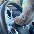 『車の運転席から外…