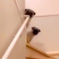 入院から帰宅し、２…
