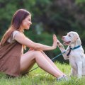 愛犬と相思相愛にな…