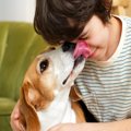 飼い主が勘違いしが…