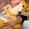 『年の差78歳』犬が…