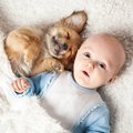 犬が人の赤ちゃんに…