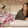 犬が飼い主に乗っか…