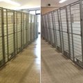動物保護施設で起き…