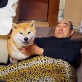 雷に怯える柴犬が『…