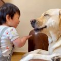 くしゃみが止まらな…