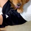 サッカーの練習に行…