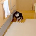 『入ってはいけない…