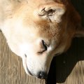 いつも我慢してたよ…
