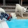 久しぶりのプールで…
