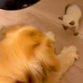 仕事終わり、捨てら…