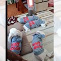 【冬あるある】スト…