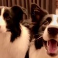 リズムにノリノリ♪と…