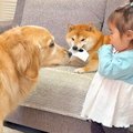 1歳の女の子が『犬に…