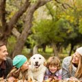 犬が家族の特定の人…
