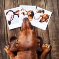 犬との『思い出を残…