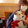 アイドル犬『モーリ…