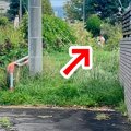 朝、散歩から『2時間…