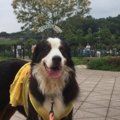 愛犬と満喫しよう！…