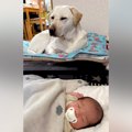 生まれたばかりの孫…