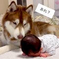 うつぶせ練習中の赤…
